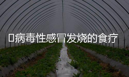 ​病毒性感冒发烧的食疗方法