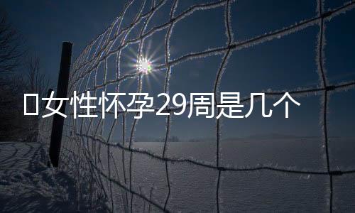 ​女性怀孕29周是几个月