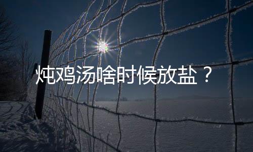 炖鸡汤啥时候放盐？