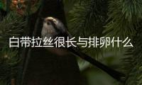 白带拉丝很长与排卵什么关系