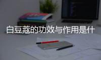 白豆蔻的功效与作用是什么