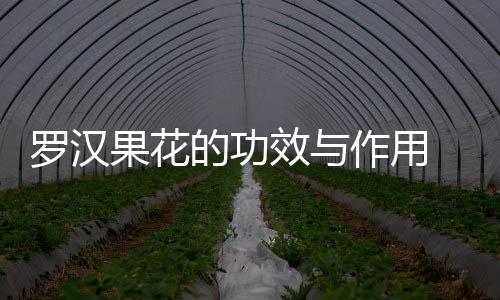 罗汉果花的功效与作用 罗汉果的功效与作用