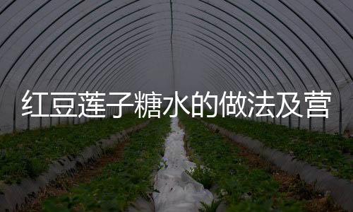 红豆莲子糖水的做法及营养价值有哪些