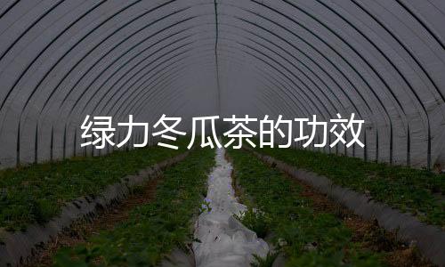 绿力冬瓜茶的功效