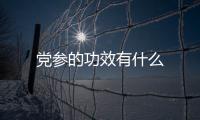 党参的功效有什么