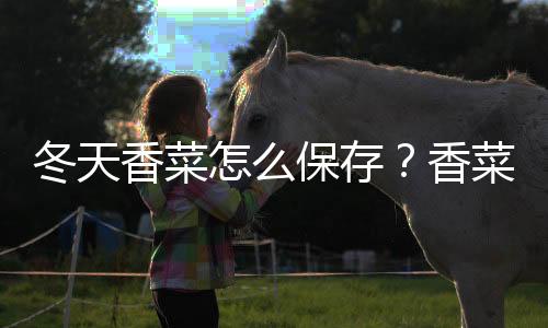 冬天香菜怎么保存？香菜的保存方法