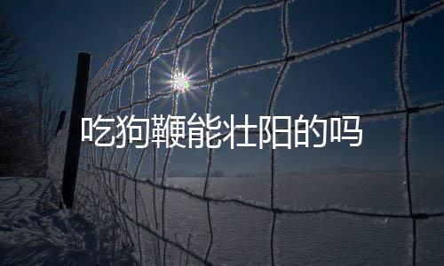 吃狗鞭能壮阳的吗