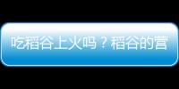 吃稻谷上火吗？稻谷的营养价值有哪些