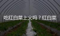 吃红白菜上火吗？红白菜的营养价值有哪些