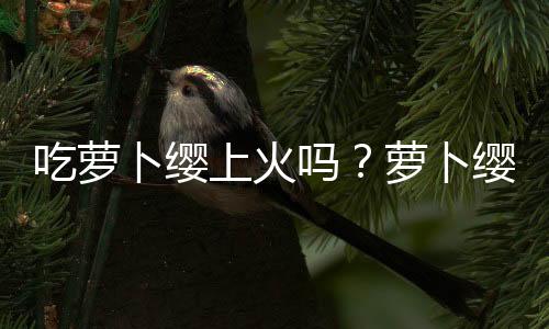 吃萝卜缨上火吗？萝卜缨的营养价值有哪些