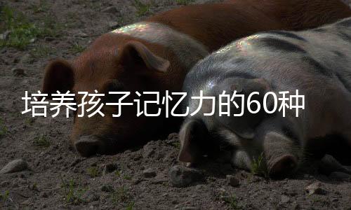 培养孩子记忆力的60种方法怎么样