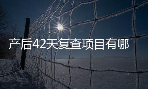 产后42天复查项目有哪些