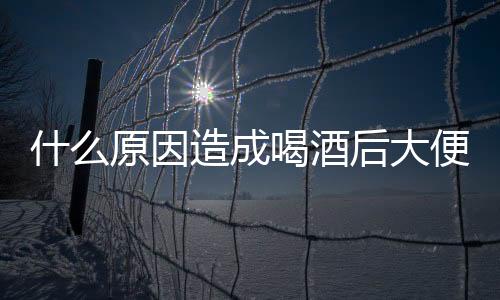 什么原因造成喝酒后大便失禁呢？