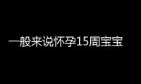 一般来说怀孕15周宝宝有多大