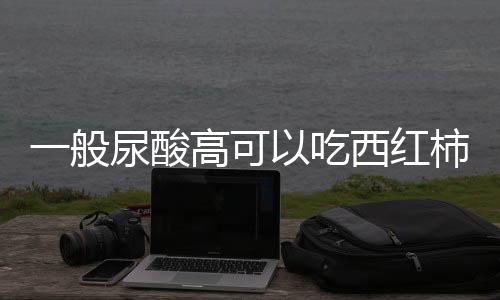 一般尿酸高可以吃西红柿炒蛋吗