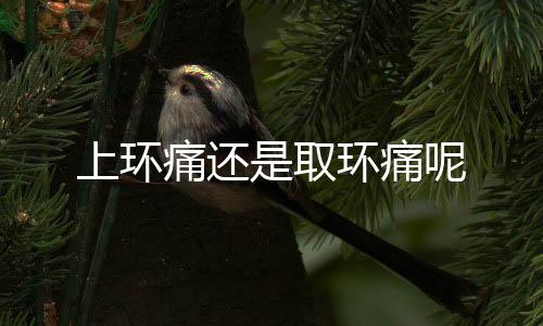 上环痛还是取环痛呢