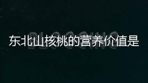 东北山核桃的营养价值是什么？