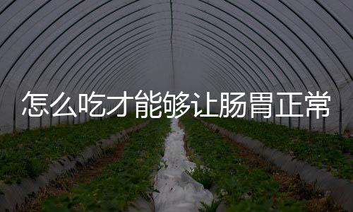 怎么吃才能够让肠胃正常？