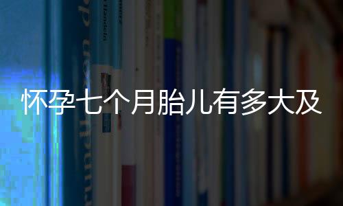 怀孕七个月胎儿有多大及注意事项