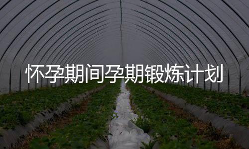 怀孕期间孕期锻炼计划