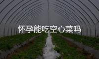 怀孕能吃空心菜吗