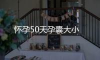 怀孕50天孕囊大小