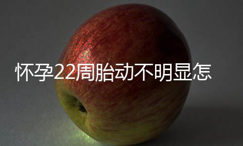 怀孕22周胎动不明显怎么办