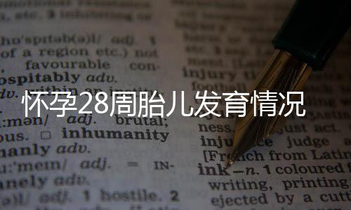 怀孕28周胎儿发育情况，怀孕28周的注意事项