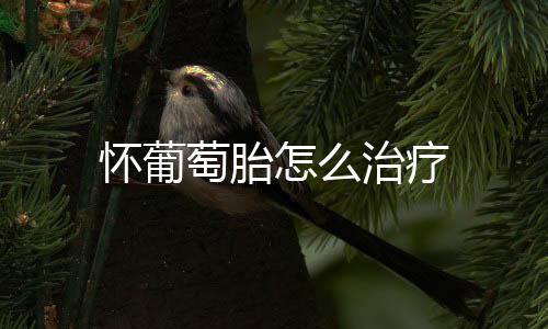 怀葡萄胎怎么治疗