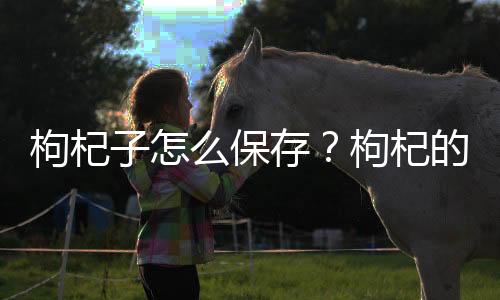 枸杞子怎么保存？枸杞的保存方法