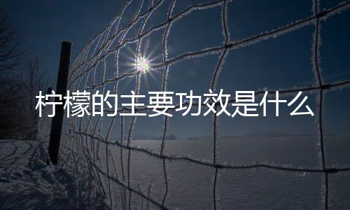 柠檬的主要功效是什么