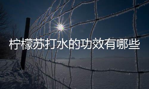 柠檬苏打水的功效有哪些