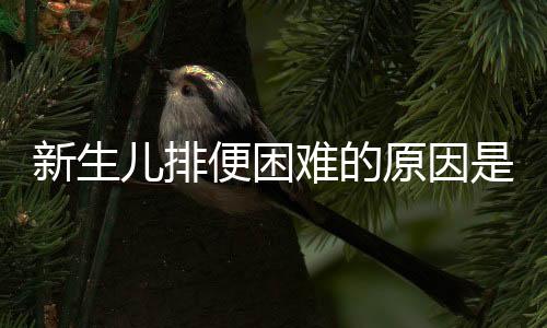 新生儿排便困难的原因是什么