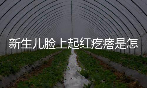 新生儿脸上起红疙瘩是怎么一回事