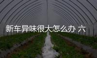 新车异味很大怎么办 六方法巧除新车异味