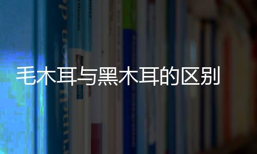 毛木耳与黑木耳的区别 毛木耳的三种美味食用方法