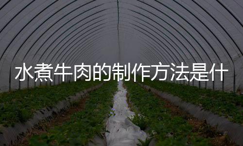 水煮牛肉的制作方法是什么呢？