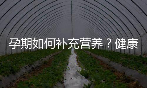 孕期如何补充营养？健康妊娠的主要营养