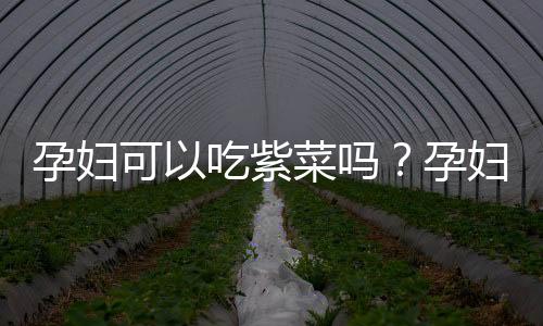 孕妇可以吃紫菜吗？孕妇能不能吃紫菜