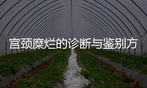 宫颈糜烂的诊断与鉴别方法