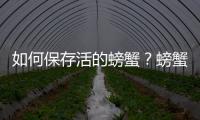 如何保存活的螃蟹？螃蟹的保鲜方法