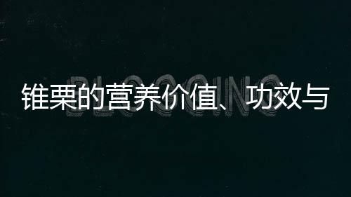 锥栗的营养价值、功效与作用、食用禁忌