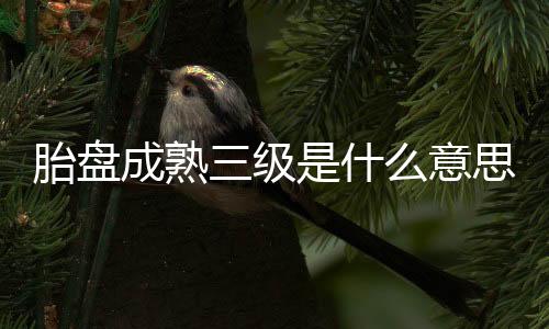 胎盘成熟三级是什么意思