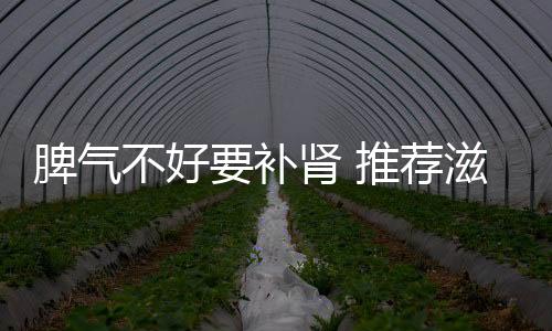 脾气不好要补肾 推荐滋阴养肾的食物！