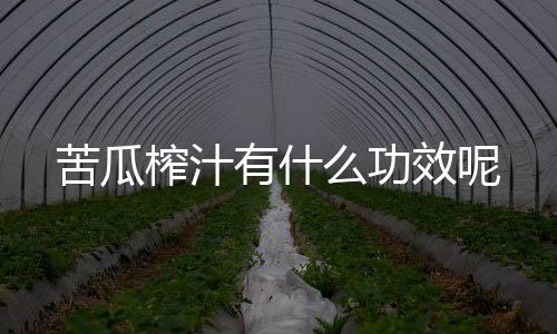 苦瓜榨汁有什么功效呢