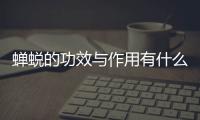 蝉蜕的功效与作用有什么