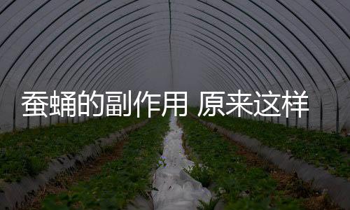 蚕蛹的副作用 原来这样吃它竟会中毒！