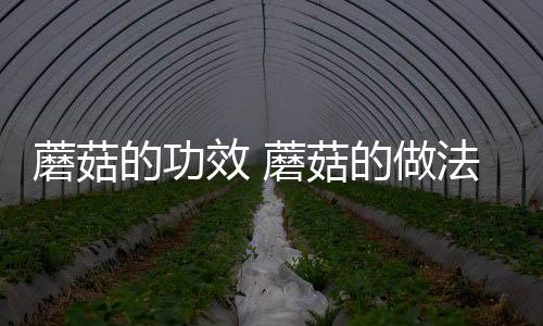 蘑菇的功效 蘑菇的做法