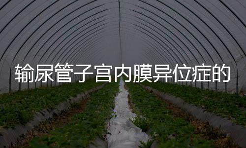 输尿管子宫内膜异位症的症状有哪些