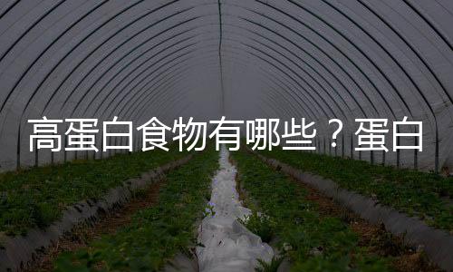 高蛋白食物有哪些？蛋白质的功效与作用